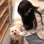 q群侠传手机版